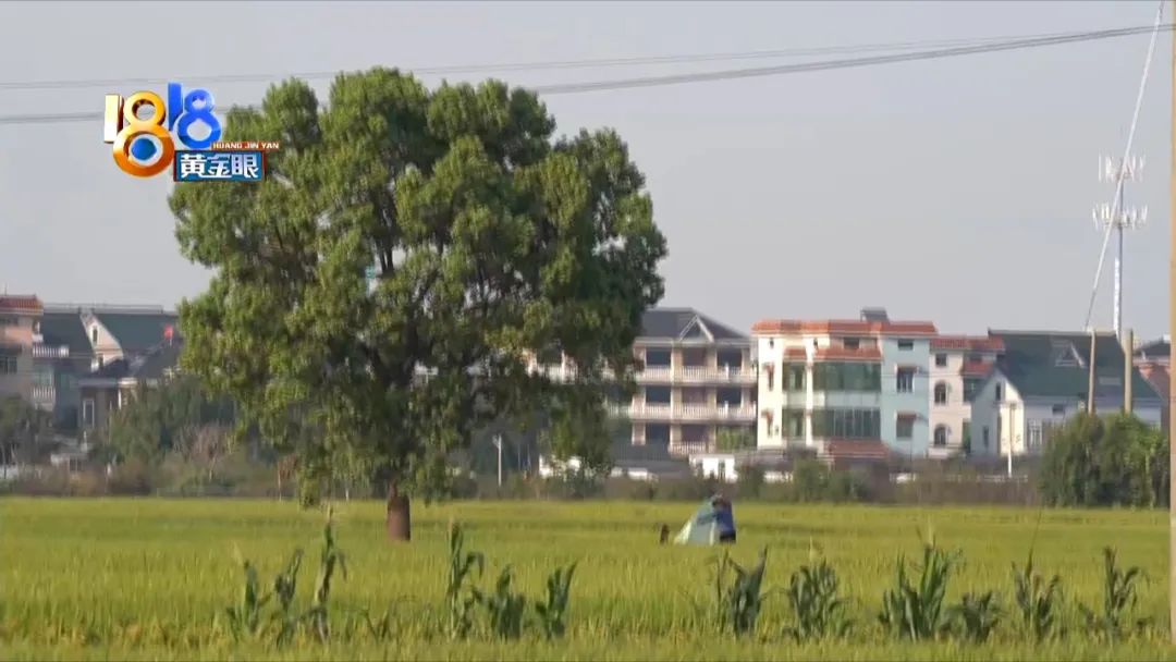 DƬ